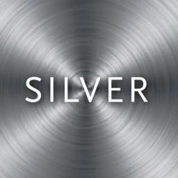 Silver Regulatory Associates LLC